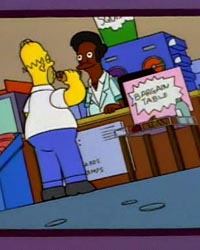 The Simpsons: Homer and Apu