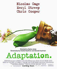 Adaptation.