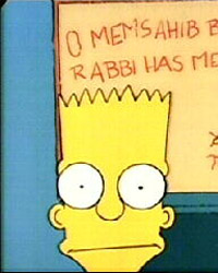 The Simpsons: Bart the Genius