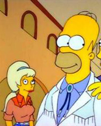 The Simpsons: Colonel Homer