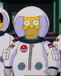 The Simpsons: Deep Space Homer