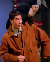 Friends, Season 1 Episode 10: The One with the Monkey
