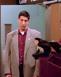 Friends, Season 1 Episode 21: The One with the Fake Monica