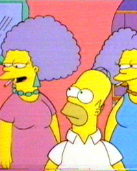 The Simpsons: Homer vs. Patty and Selma