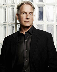 NCIS: The All-Gibbs Quiz