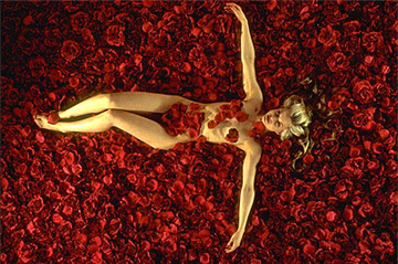 American Beauty Trivia Quiz