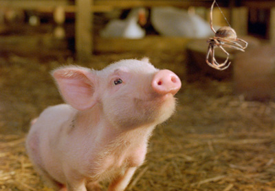 Charlotte's Web (2006) Trivia Quiz