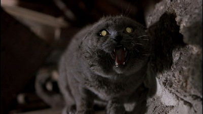 Pet Sematary Trivia Quiz