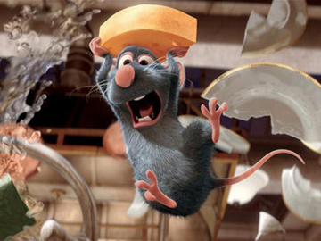 Eeek! Broken china! Water droplets! No - wait: RAT!!!