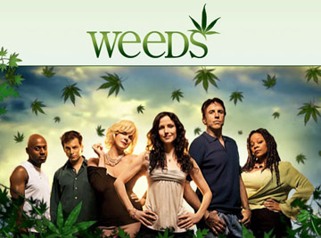 Weeds Season 5 quiz